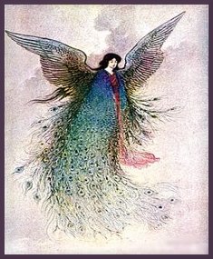 Peacock Angel